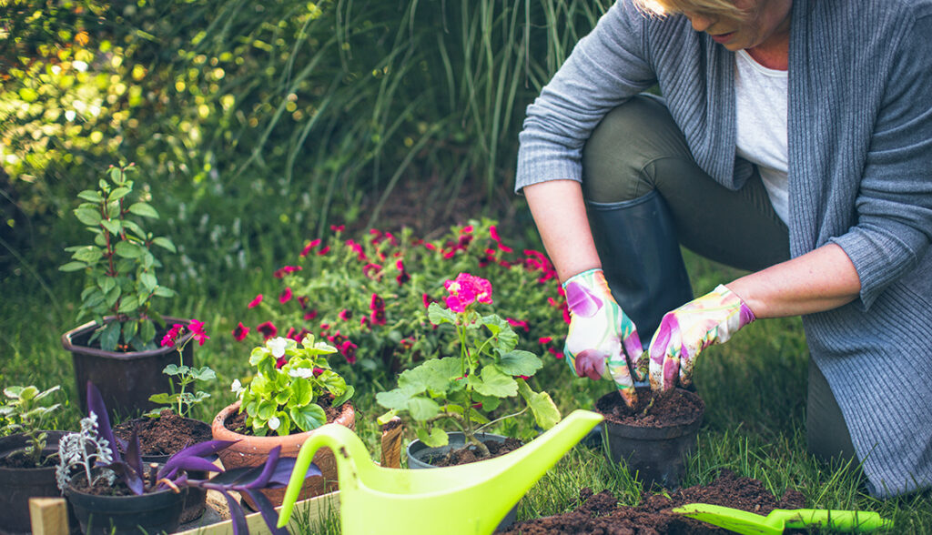 5 Tips To Naturally Improve Your Garden