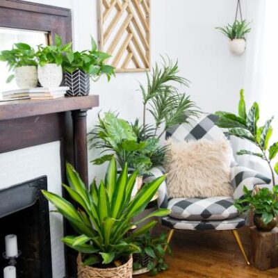 Refreshing ways to use faux plants in your home