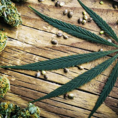 4 Things to Know About 4 Different Cannabinoids